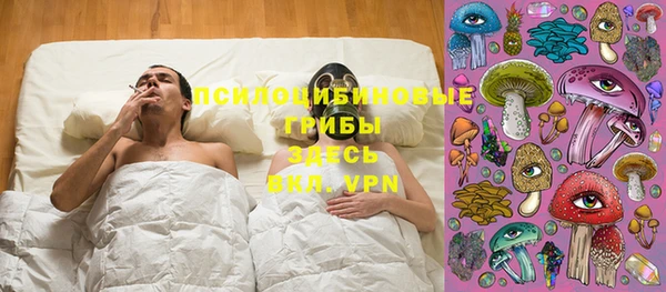 гидра Бугульма