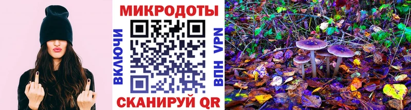 Галлюциногенные грибы Cubensis  ОМГ ОМГ зеркало  Сретенск  купить наркотики сайты 